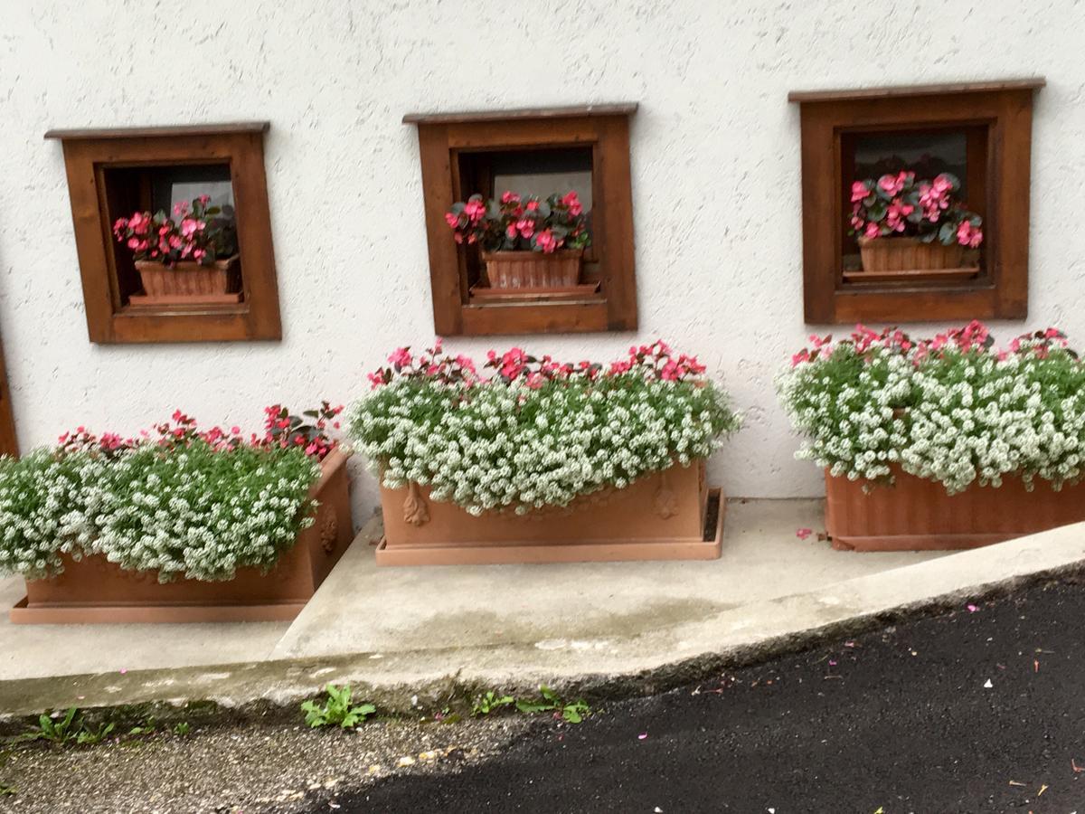 Albergo Meuble Tarandan Forni di Sopra Exterior foto